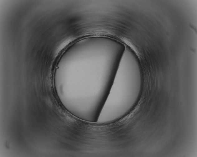 X0000091951071200709061035