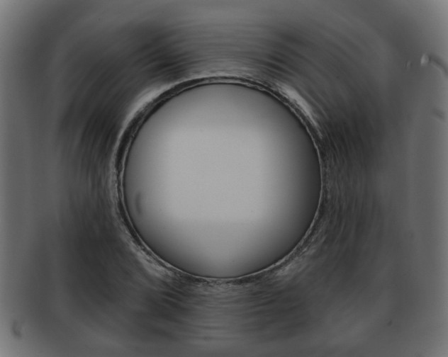 X0000091951072200709061035