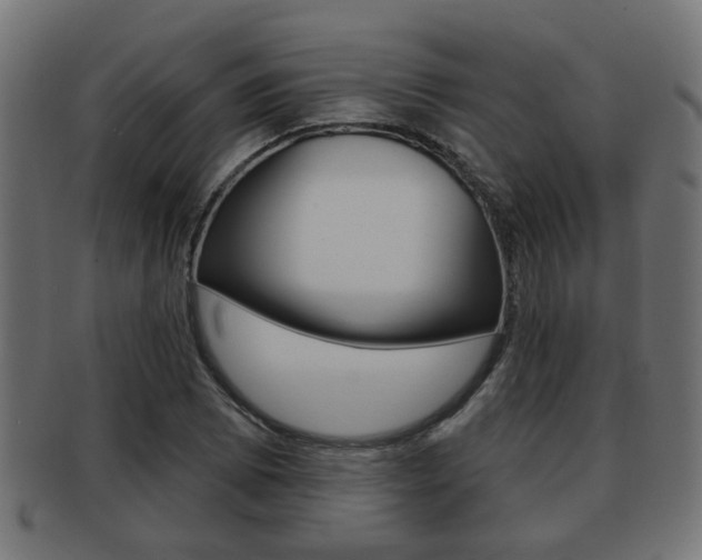 X0000091951073200709061035