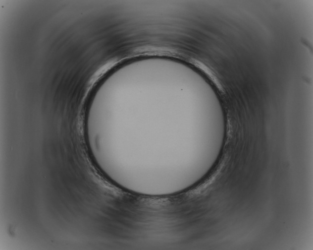 X0000091951074200709061035
