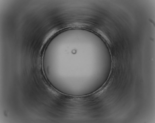 X0000091951075200709061035