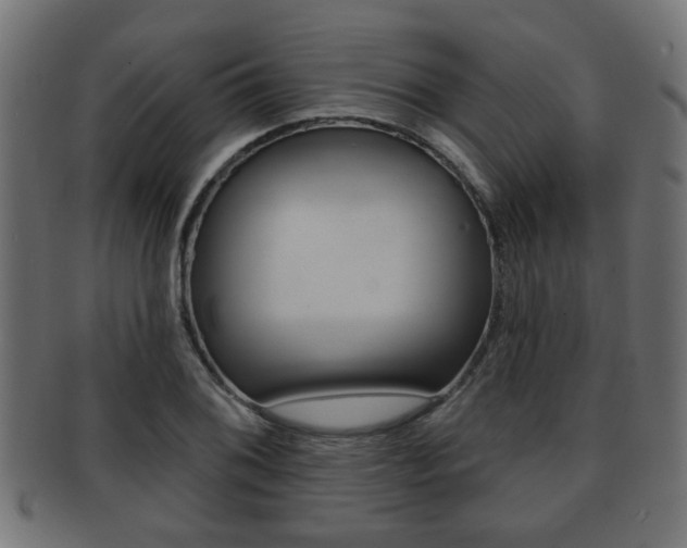 X0000091951076200709061035