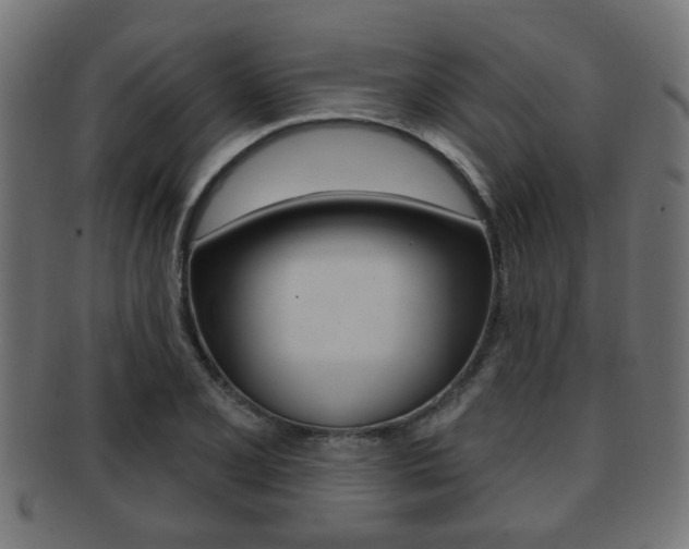 X0000091951077200709061035