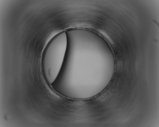 X0000091951079200709061035