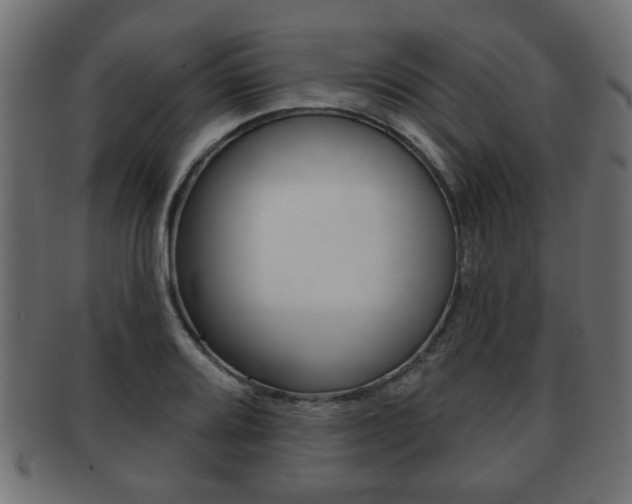 X0000091951080200709061035