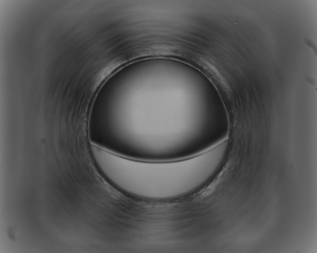 X0000091951081200709061035