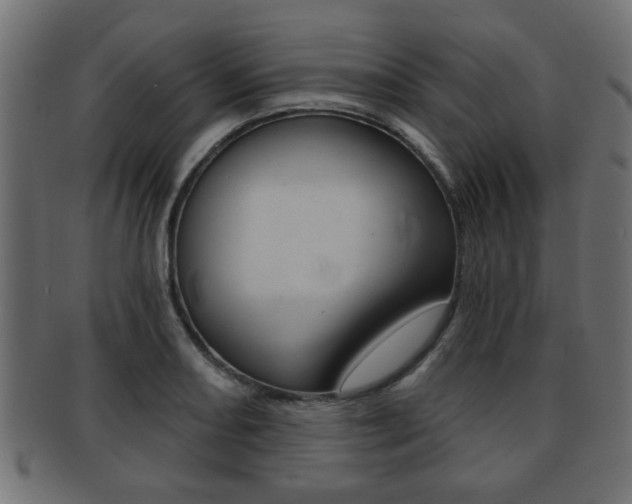 X0000091951082200709061035