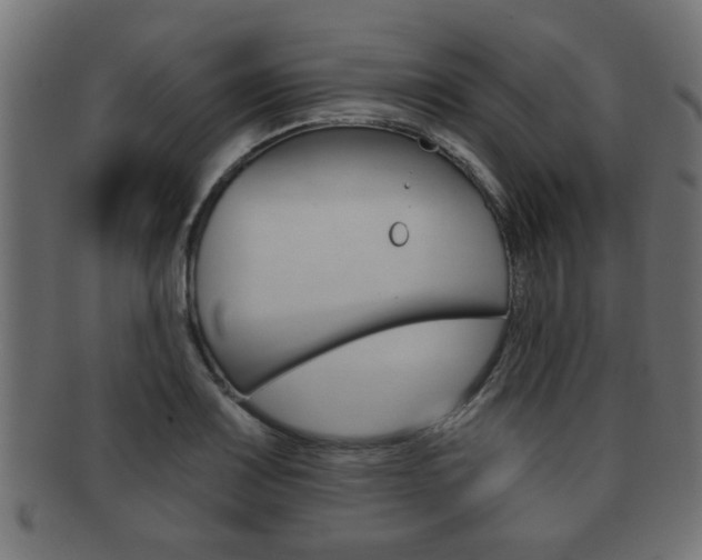 X0000091951083200709061035