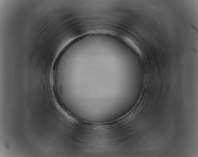 X0000091951084200709061035