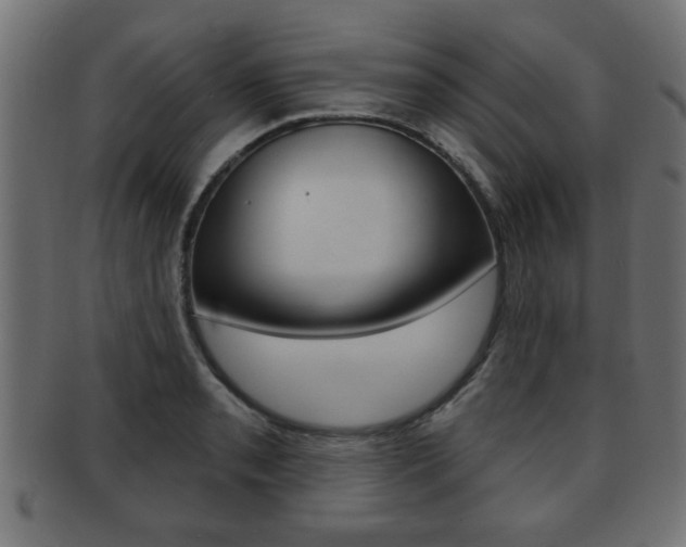 X0000091951085200709061035