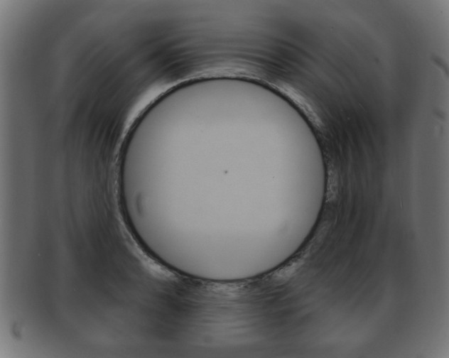 X0000091951086200709061035