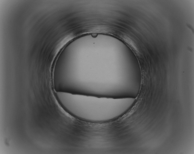 X0000091951087200709061035