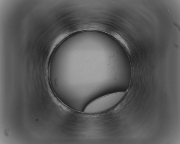 X0000091951088200709061035