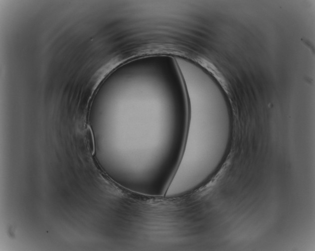 X0000091951089200709061035
