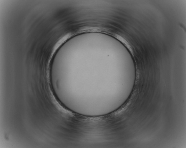 X0000091951090200709061035