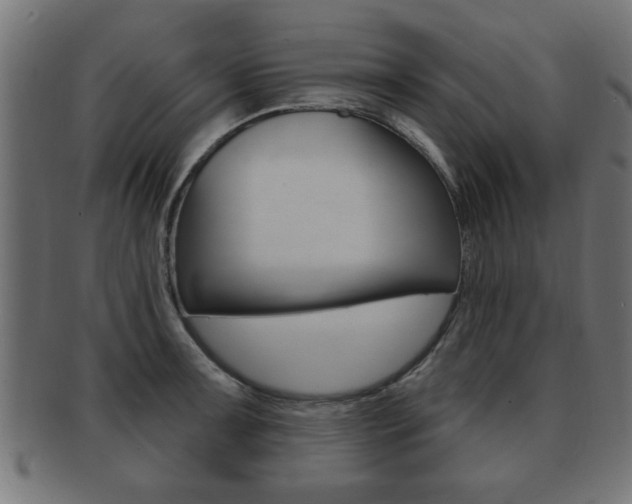 X0000091951091200709061035