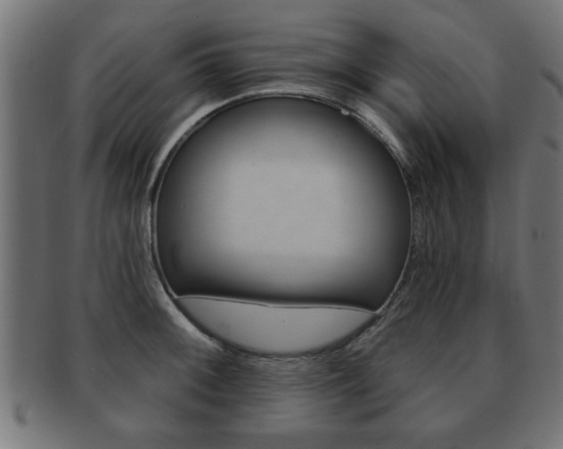 X0000091951092200709061035