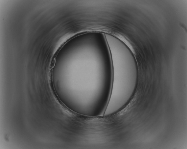 X0000091951093200709061035
