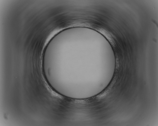 X0000091951094200709061035