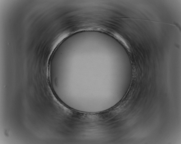 X0000091951095200709061035