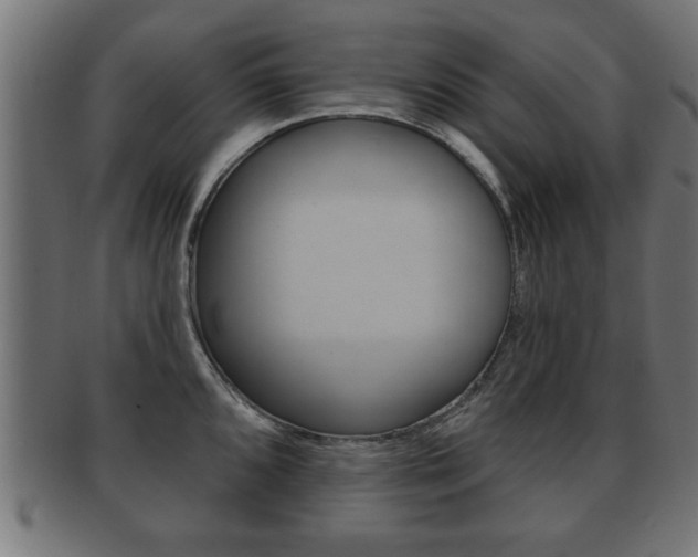 X0000091951096200709061035