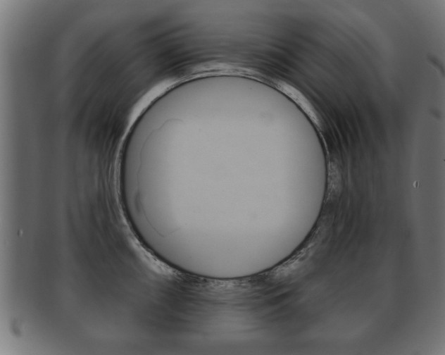 X0000091951098200709061035