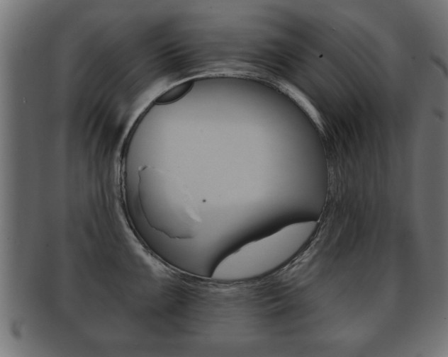 X0000091951099200709061035