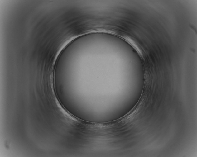 X0000091951100200709061035