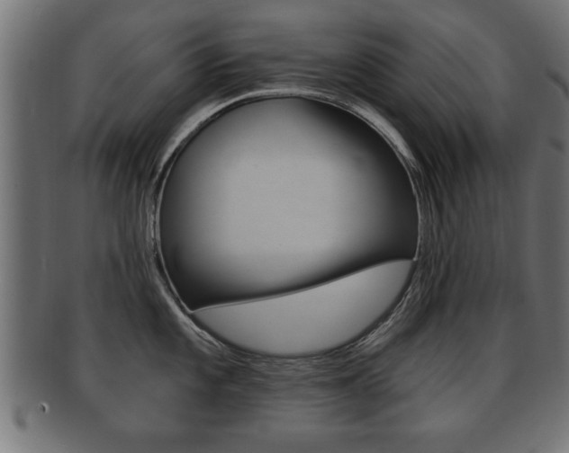 X0000091951101200709061035