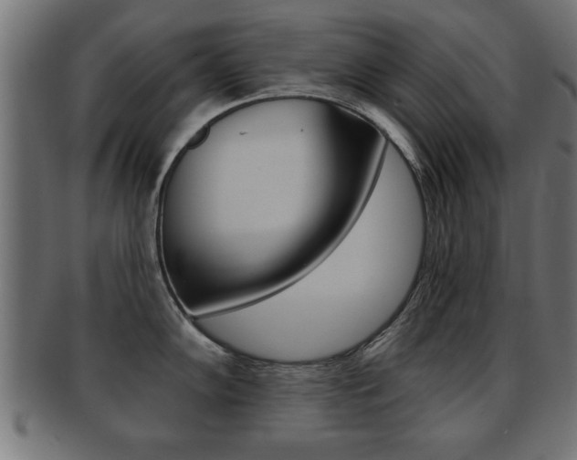 X0000091951102200709061034