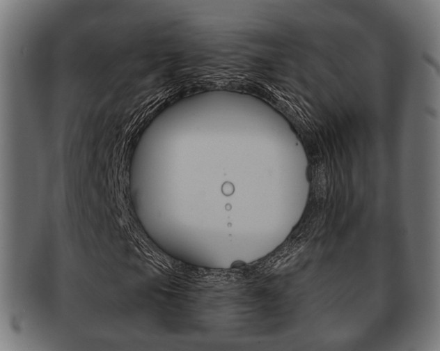 X0000091951105200709061034