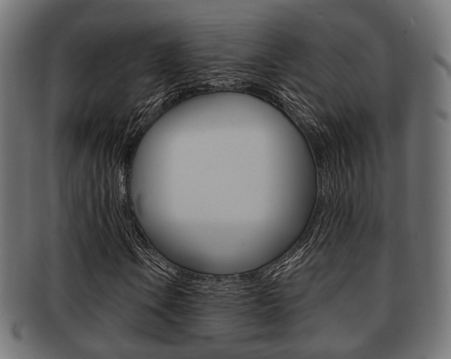 X0000091951106200709061034