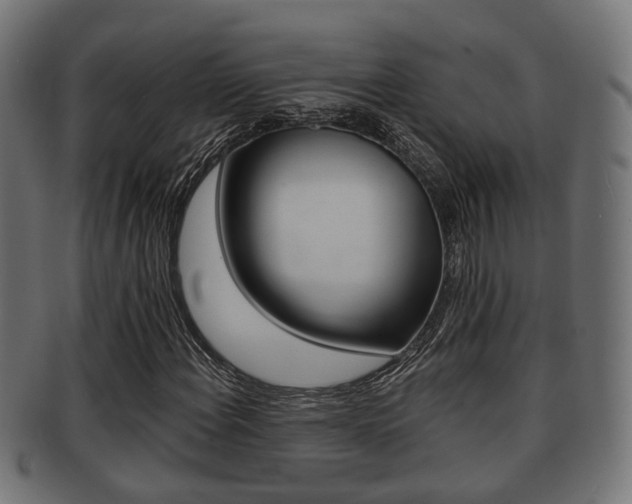 X0000091951108200709061034