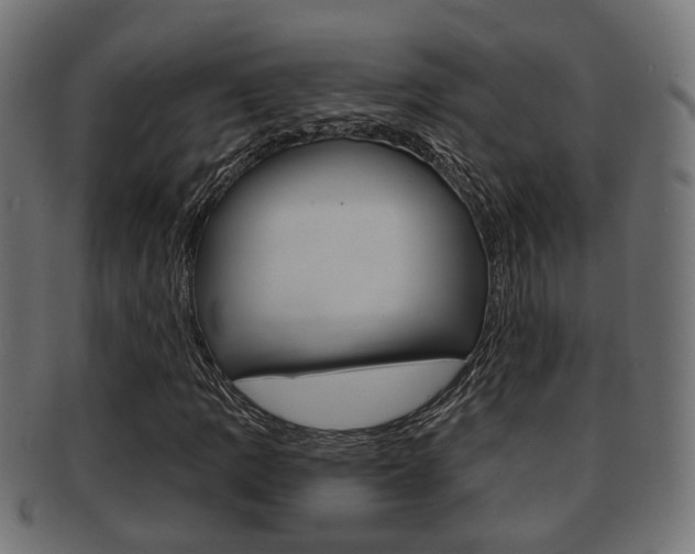 X0000091951109200709061034