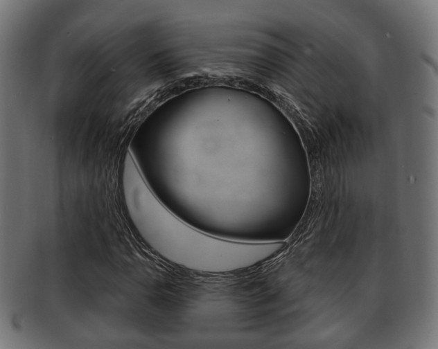 X0000091951110200709061034