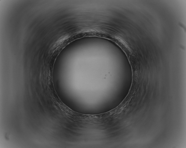 X0000091951111200709061034