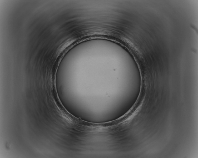 X0000091951113200709061034