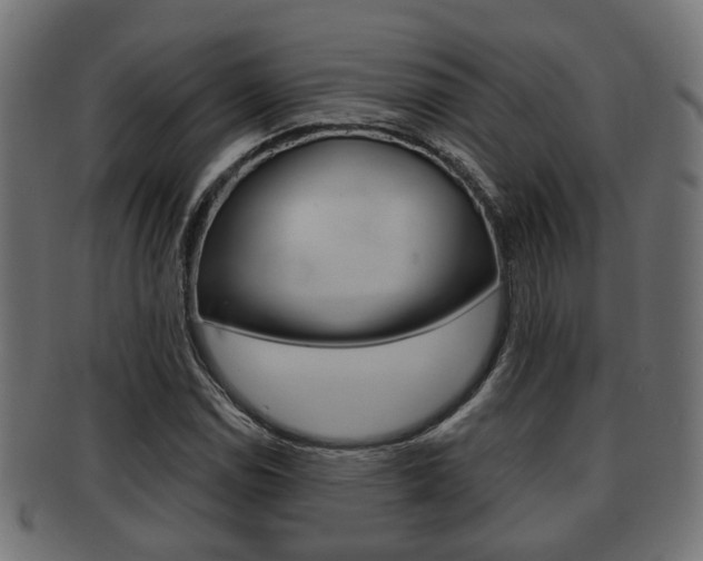 X0000091951114200709061034
