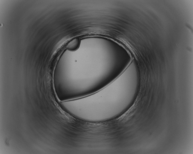 X0000091951115200709061034