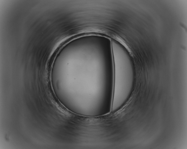 X0000091951116200709061034