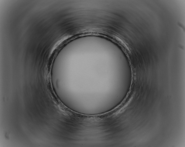 X0000091951117200709061034