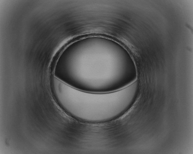 X0000091951118200709061034