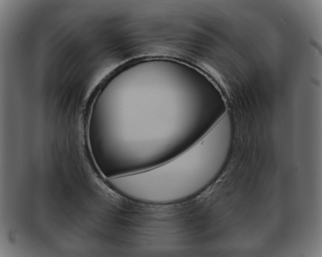X0000091951120200709061034