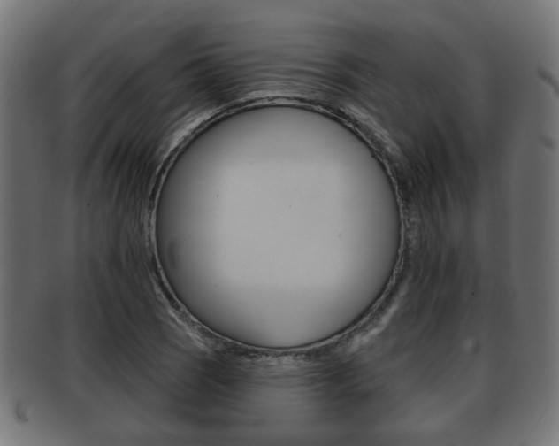 X0000091951121200709061034