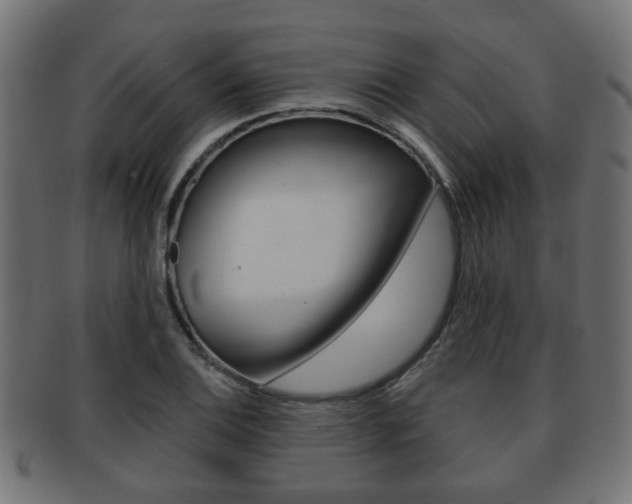 X0000091951124200709061034