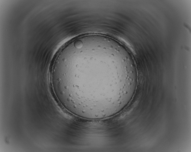 X0000091951125200709061034
