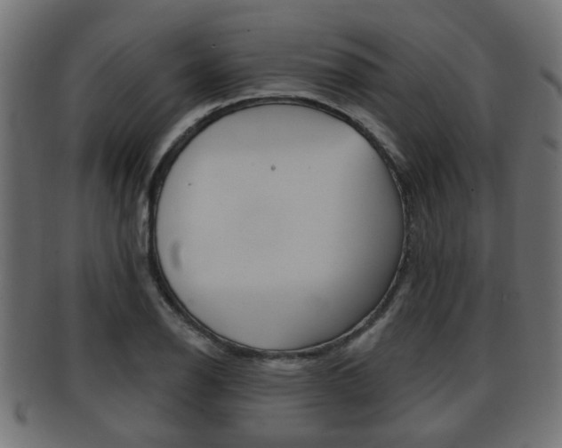 X0000091951126200709061034