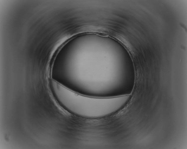 X0000091951128200709061034