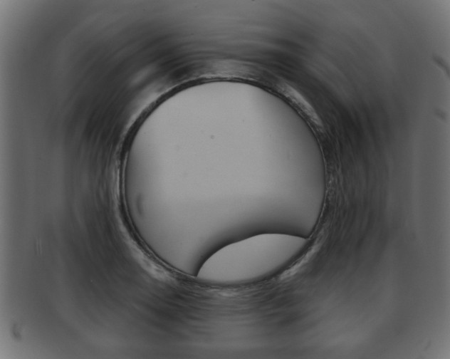 X0000091951130200709061034