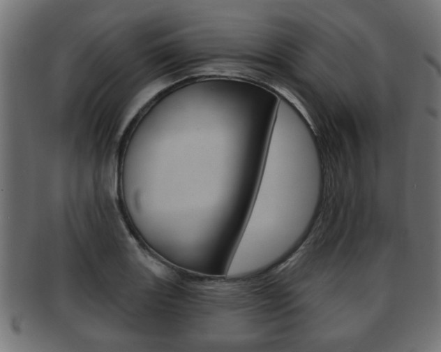 X0000091951131200709061034